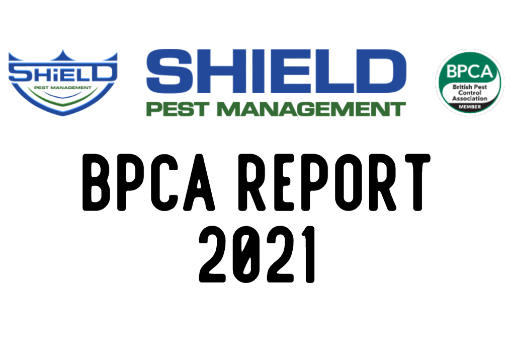 BPCA 2021 annual report