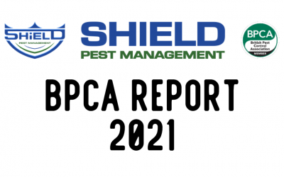 BPCA 2021 annual report