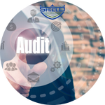 audit standards
