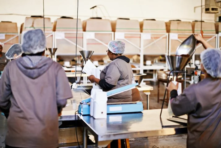 pest control in food businesses