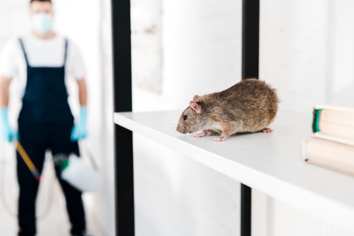rodent control services in Yorkshire