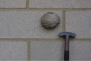 wasp nest removal services in Leeds, wasp nest removal services in York