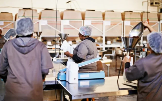 pest control in food businesses