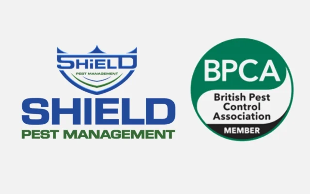 BPCA certified pest control companies